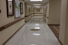 PXL_20210423_215527334